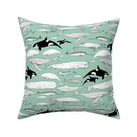 Whales on teal