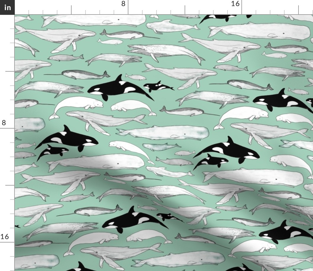 Whales on teal