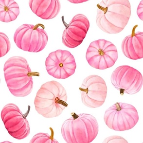 Large Scale Pink Pumpkins Fall Halloween Gourds on White