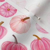 Medium Scale Pink Pumpkins Fall Halloween Gourds on White