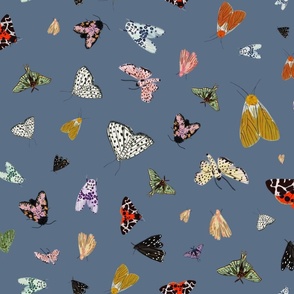 Moths on Dusty Blue