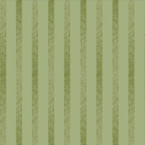 elizabeth anne green stripe