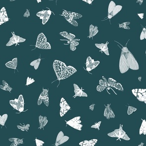 White Moths on Dark Teal