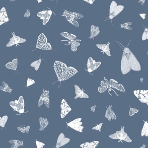 White Moths on Dusty Blue