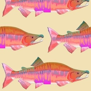 Chum Salmon Red Shift Tan bg