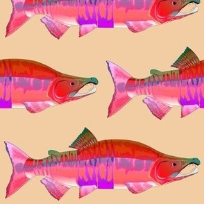 Chum Salmon Red Shift nde bg