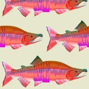 Chum Salmon Red Shift ktan bg