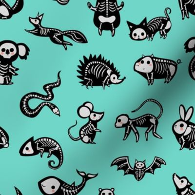 Animal Skeletons - Aqua Large