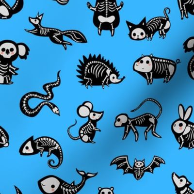 Animal Skeletons - Blue Large
