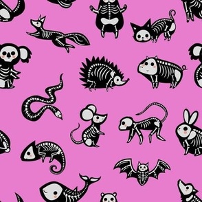 Animal Skeletons - Pink Large