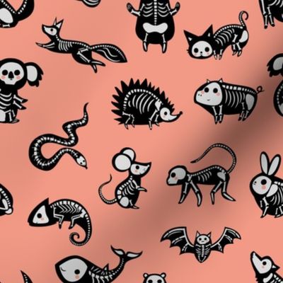 Animal Skeletons - Peach Large