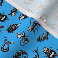 Animal Skeletons - Bright Blue Small