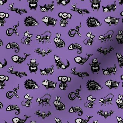 Animal Skeletons - Bright Purple Small