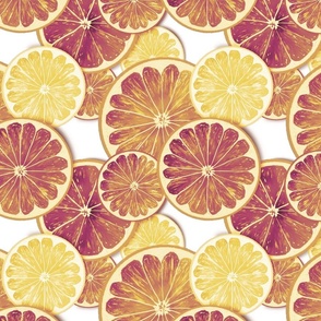 Citrus slices muted orange colors (pop art)