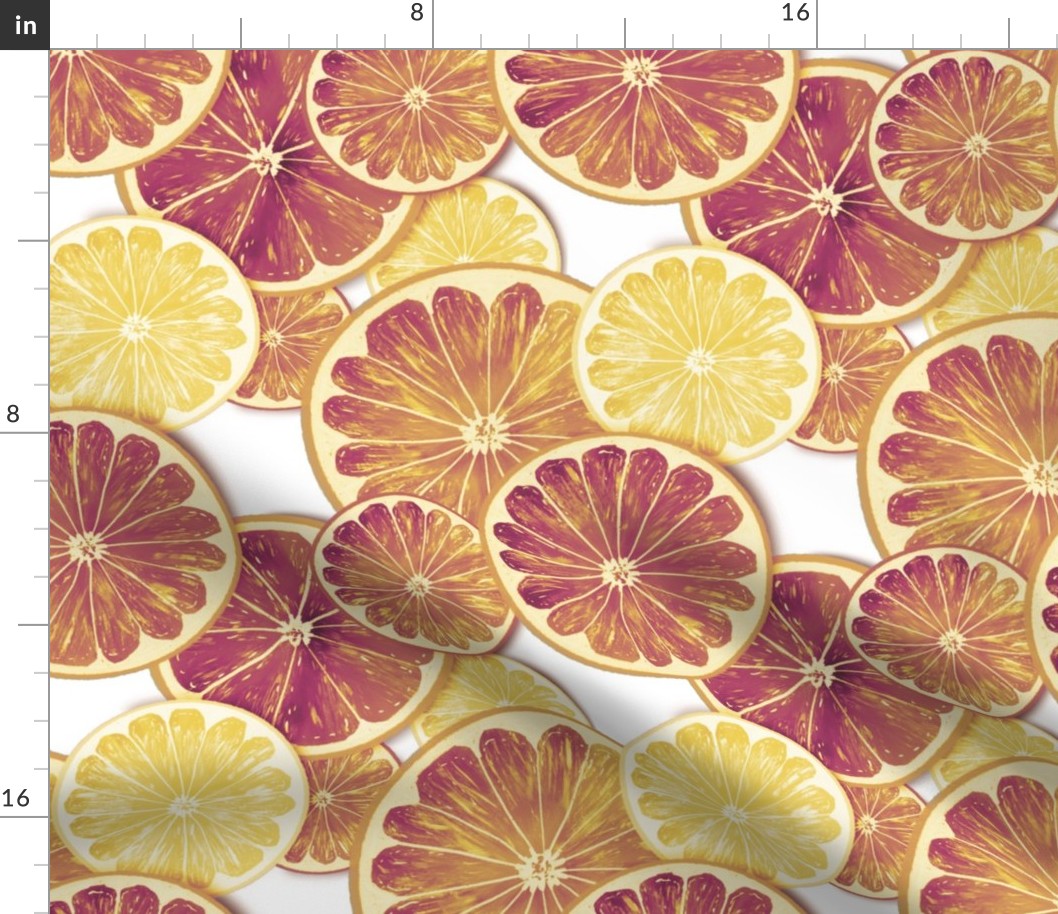 Citrus slices muted orange colors (pop art)