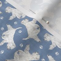 Tiny Trotting West Highland White Terriers and paw prints - faux denim