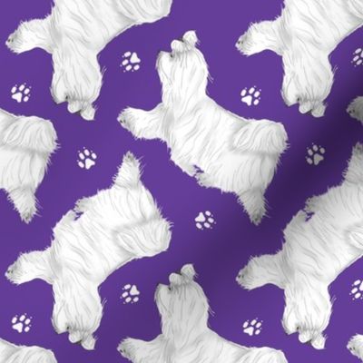 Trotting Maltese and paw prints - purple