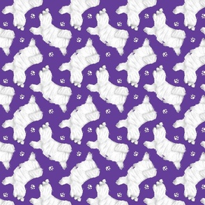 Trotting Maltese and paw prints - purple