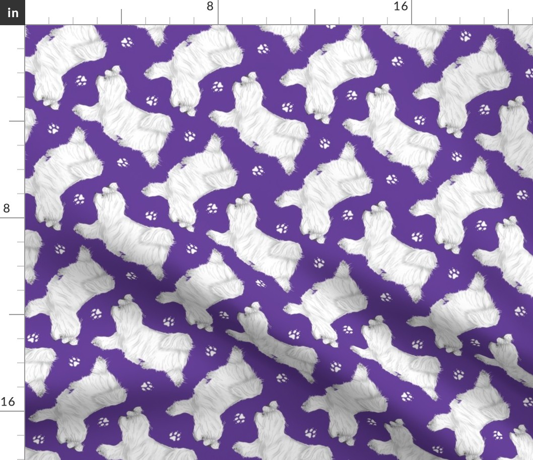 Trotting Maltese and paw prints - purple