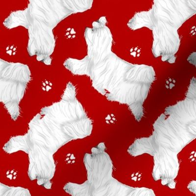 Trotting Maltese and paw prints - red