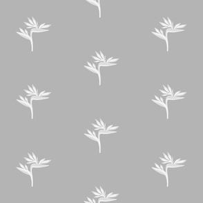 Tropical Wallpaper Gray