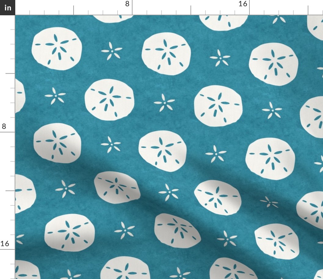 Large Scale Sand Dollars on Turquoise Ocean Water Background 