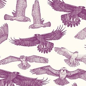 birds of prey purple small