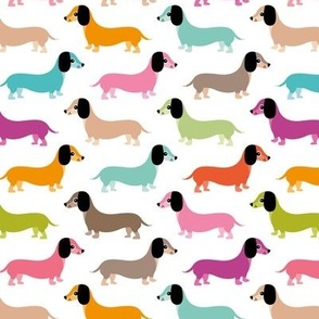 Little pixie dogs adorable dachshund puppies kids colorful nursery print pink blue green in white