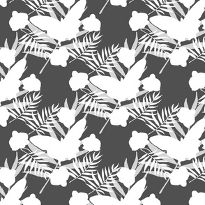 Tropical Butterflies & Orchids - white on ultimate gray, medium to large 