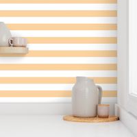 Bold Stripe citrus