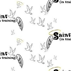 Saint In Training