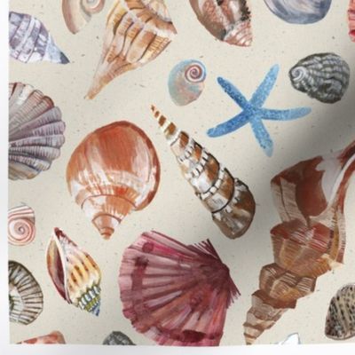 Seashell Treasures Tea Towel