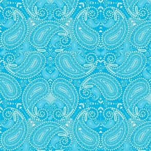 Paisley in sky blue