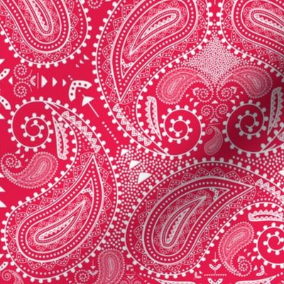 Paisley in sweet pinkish red