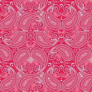 Paisley in sweet pinkish red