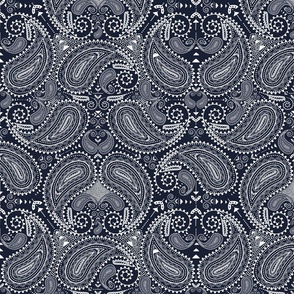 Paisley in navy