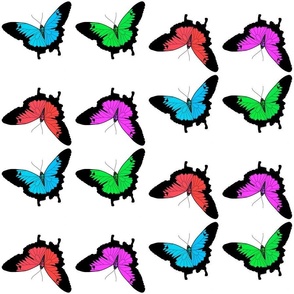 Butterfly Fiesta #1 - white, medium to large 