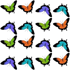 Butterfly Fiesta #2 - white, medium to large 