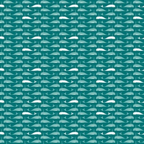 (S) Whale swimming in the ocean teal