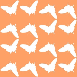 Butterfly Fiesta - white on papaya orange, medium to large 