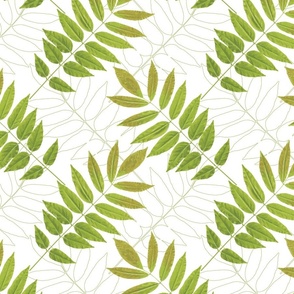 Wisteria leaf pattern