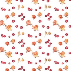 Cloudberry and cranberry pattern - transparent
