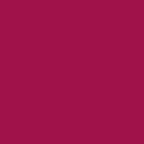 solid bohemian burgundy red - coordinate bohemian color palette