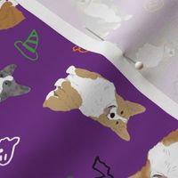 Tiny Welsh Corgi assorted - Halloween