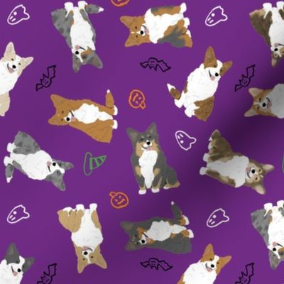 Tiny Welsh Corgi assorted - Halloween