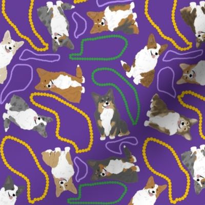 Tiny Welsh Corgi assorted - Mardi Gras