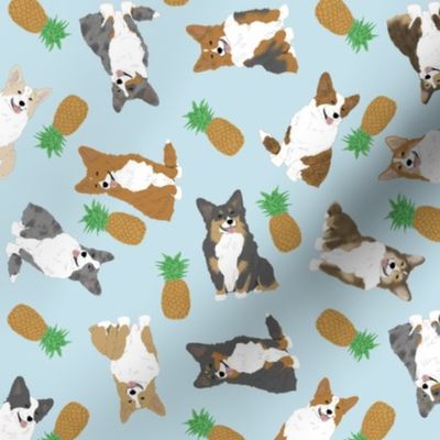 Tiny Welsh Corgi assorted - pineapples