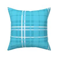 Fun Plaid | Aqua