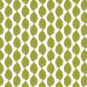 Epimedium leaf pattern