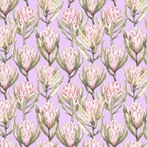 Protea Garden - Lavender Small Scale